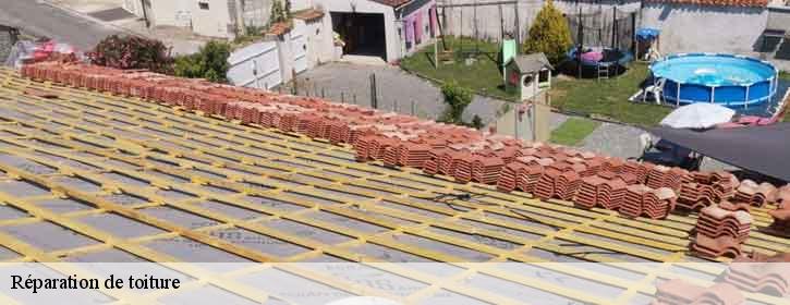 Réparation de toiture 38122