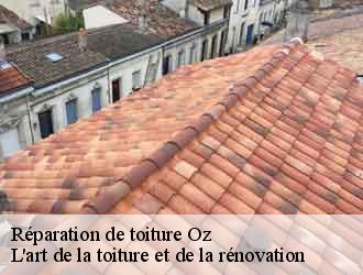 Réparation de toiture  oz-38114 L'art de la toiture et de la rénovation