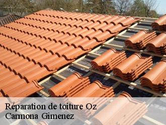 Réparation de toiture oz-38114 Couvreur Payen