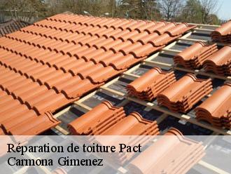 Réparation de toiture pact-38270 Carmona Gimenez