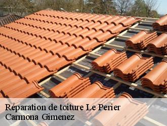 Réparation de toiture le-perier-38740 Carmona Gimenez