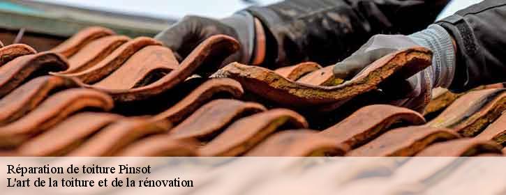 Réparation de toiture  38580