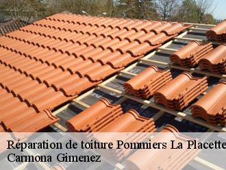 Réparation de toiture  pommiers-la-placette-38340 Couvreur Payen