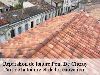 Réparation de toiture  pont-de-cheruy-38230 L'art de la toiture et de la rénovation