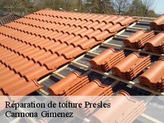 Réparation de toiture presles-38680 Carmona Gimenez