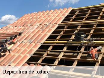 Réparation de toiture 38680