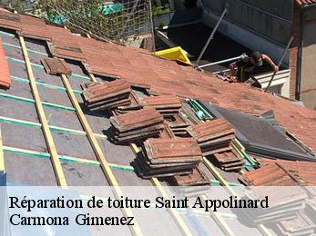 Réparation de toiture 38160