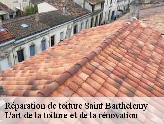 Réparation de toiture saint-barthelemy-38270 L'art de la toiture et de la rénovation