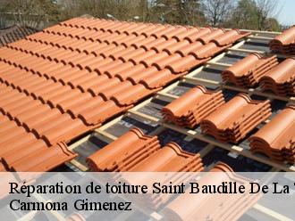 Réparation de toiture saint-baudille-de-la-tour-38118 Carmona Gimenez