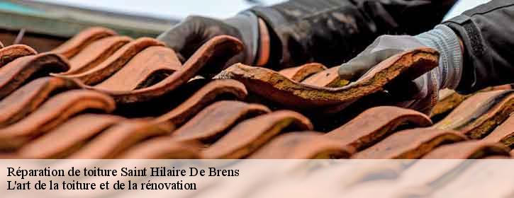 Réparation de toiture  38460