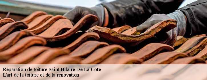 Réparation de toiture  38260