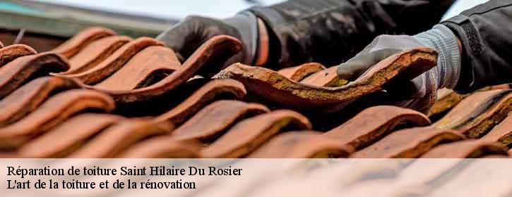 Réparation de toiture  38840