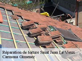 Réparation de toiture 38420