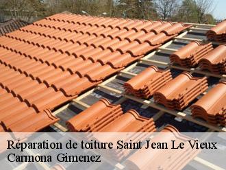 Réparation de toiture saint-jean-le-vieux-38420 Couvreur Payen