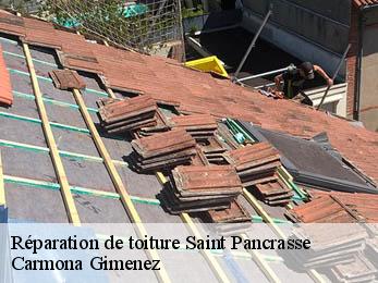Réparation de toiture 38660