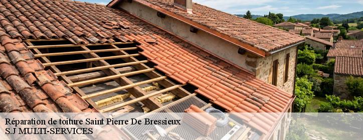 Réparation de toiture 38870