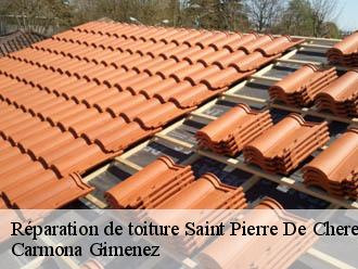 Réparation de toiture saint-pierre-de-cherennes-38160 Couvreur Payen