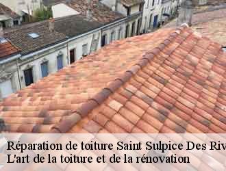 Réparation de toiture saint-sulpice-des-rivoires-38620 L'art de la toiture et de la rénovation