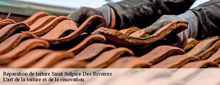 Réparation de toiture 38620