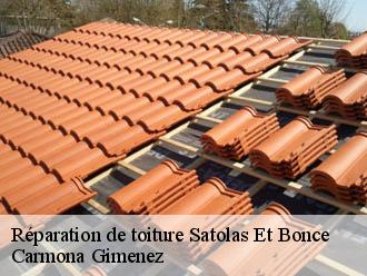Réparation de toiture satolas-et-bonce-38290 Carmona Gimenez