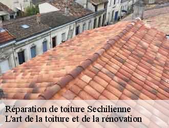 Réparation de toiture  sechilienne-38220 L'art de la toiture et de la rénovation
