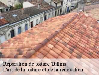 Réparation de toiture  tullins-38210 L'art de la toiture et de la rénovation