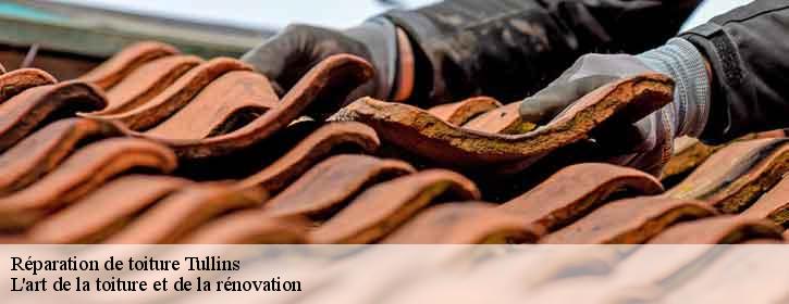 Réparation de toiture  38210