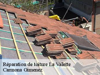 Réparation de toiture 38350