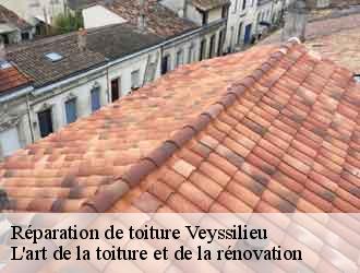 Réparation de toiture veyssilieu-38460 L'art de la toiture et de la rénovation