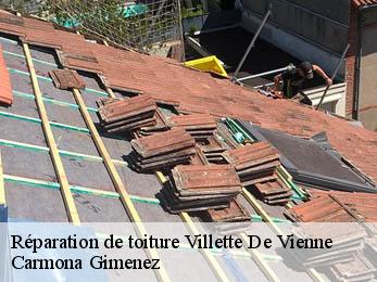 Réparation de toiture 38200