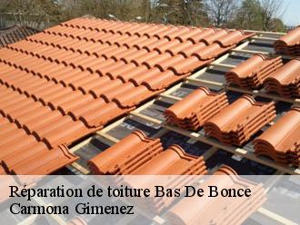 Réparation de toiture bas-de-bonce-38290 Couvreur Payen