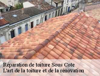 Réparation de toiture sous-cote-38780 L'art de la toiture et de la rénovation