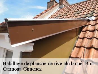 Habillage de planche de rive alu laqué 38690
