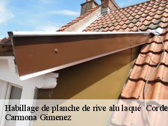 Habillage de planche de rive alu laqué 38710