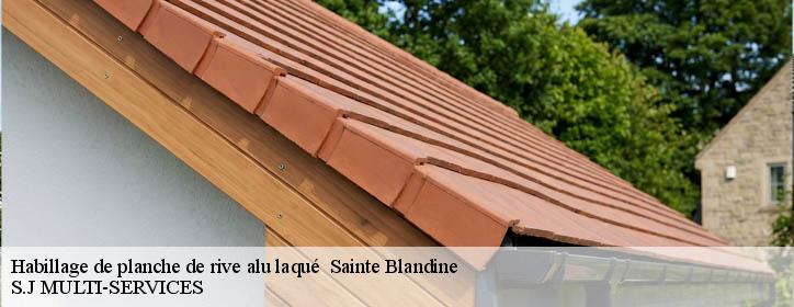 Habillage de planche de rive alu laqué 38110