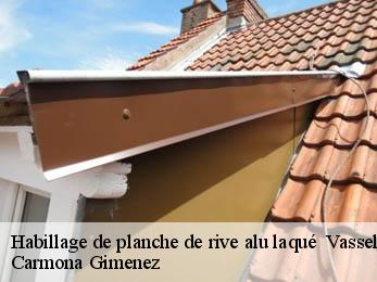 Habillage de planche de rive alu laqué 38890