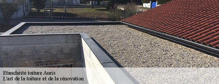 Etanchéité toiture 38142