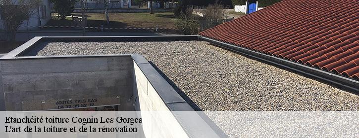 Etanchéité toiture 38470