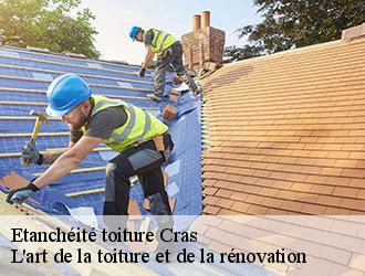 Etanchéité toiture  cras-38210 L'art de la toiture et de la rénovation