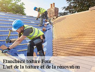 Etanchéité toiture four-38080 L'art de la toiture et de la rénovation