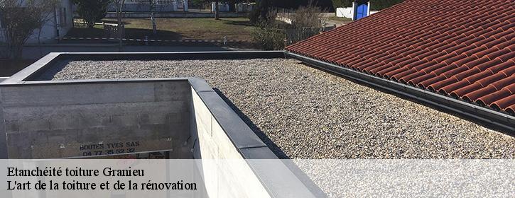 Etanchéité toiture  38490