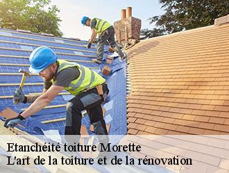 Etanchéité toiture  morette-38210 L'art de la toiture et de la rénovation