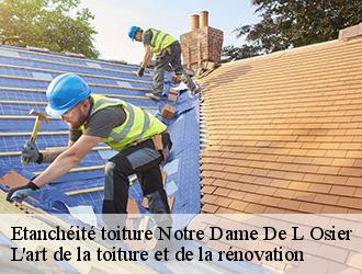 Etanchéité toiture  notre-dame-de-l-osier-38470 L'art de la toiture et de la rénovation