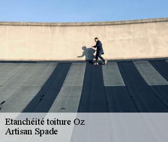Etanchéité toiture oz-38114 Artisan Spade