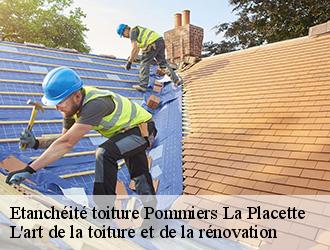 Etanchéité toiture  pommiers-la-placette-38340 L'art de la toiture et de la rénovation