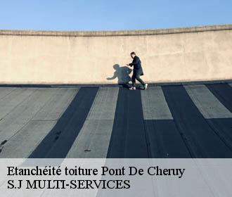 Etanchéité toiture  pont-de-cheruy-38230 S.J MULTI-SERVICES