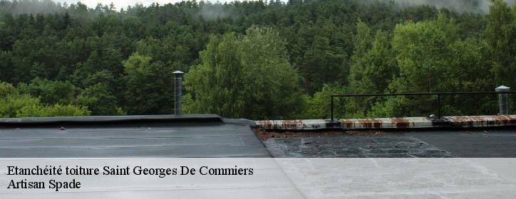 Etanchéité toiture 38450
