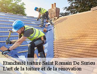 Etanchéité toiture  saint-romain-de-surieu-38150 L'art de la toiture et de la rénovation