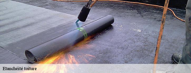 Etanchéité toiture  38700