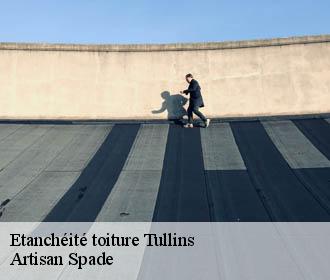 Etanchéité toiture tullins-38210 Artisan Spade